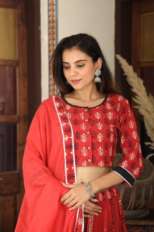 Bagru Handblock Printed CHANIYA CHOLI CROP TOP AND SKIRT WITH MULMUL DUPATTA